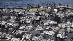 Maui Humane Society overwhelmed after wildfire; how you can help