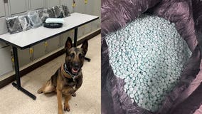 Coconino County deputy seizes 40K fentanyl pills during I-17 traffic stop