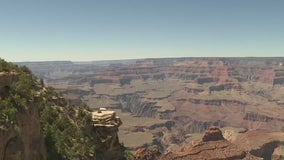 E. coli found in water near Grand Canyon's Phantom Ranch