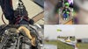 Emotional support alligator, alien abduction costume, car catches field goal: This week's offbeat headlines
