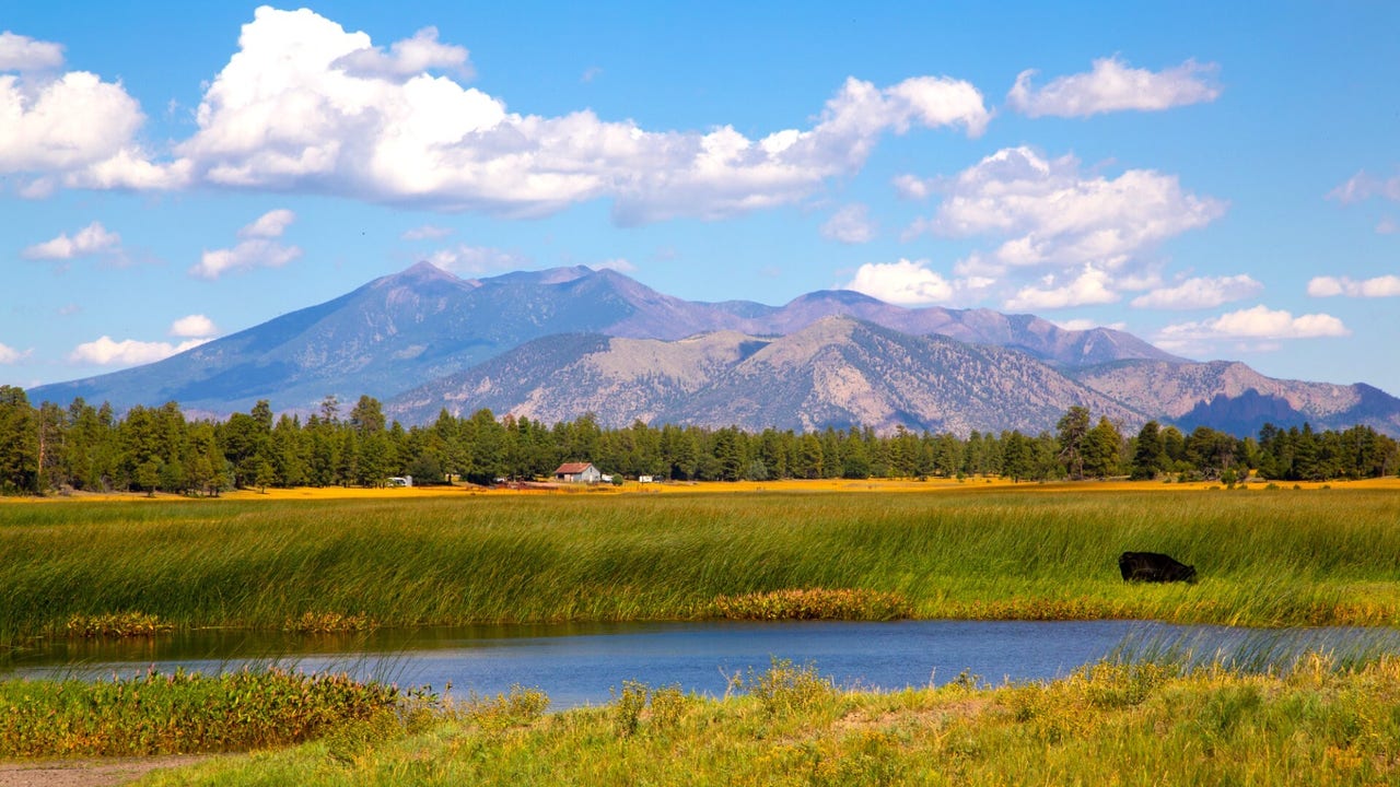 Arizona Photo of the Day – October 2023 - Vimarsana News