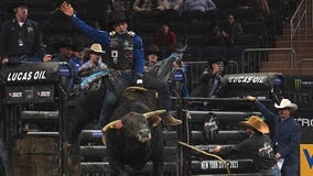 Professional Bull Riders in Arizona competing in Glendale