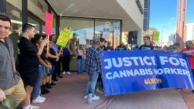In Arizona first, marijuana dispensary workers go on strike