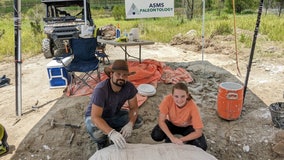 High school student digs up 34-million-year-old whale skull on family farm