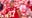 Travis Kelce’s jersey sales skyrocket after Taylor Swift appearance at Chiefs game