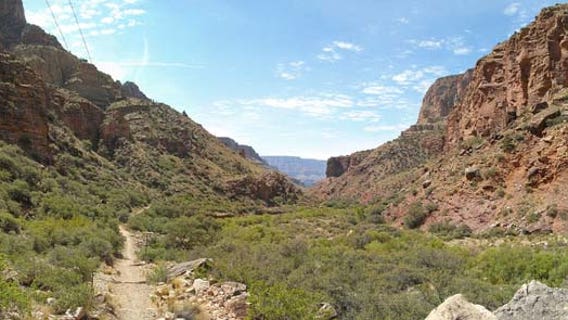 Virginia man dies while hiking Grand Canyon trail