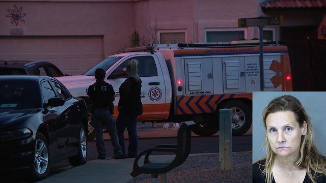 Charges dropped against Arizona animal abuse suspect: Here's what to know