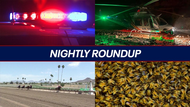 Nightly Roundup: Injured hiker abandoned by friends; bee incident kills man