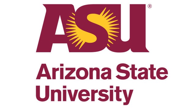 Arizona State University professor details lawsuit over 'racist' DEI training: 'Compelled speech'