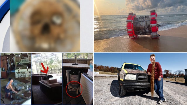 Human skull in Arizona Goodwill donation, diarrhea shuts down flight: This week's unusual headlines