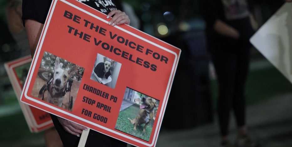 Chandler animal abuse investigation: Group holds vigil for animal victims