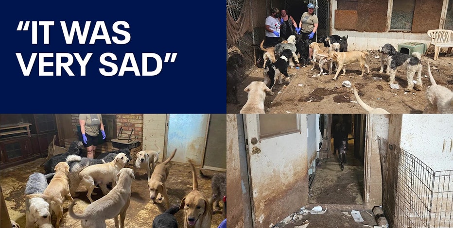 Gilbert Police investigating animal cruelty case; 18 dogs taken from property