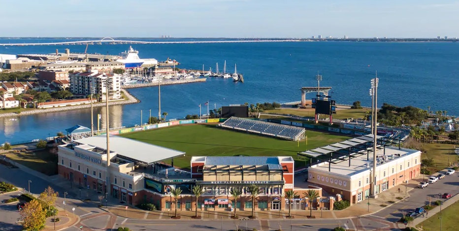 Looking over the brand new MLB - Pensacola Blue Wahoos