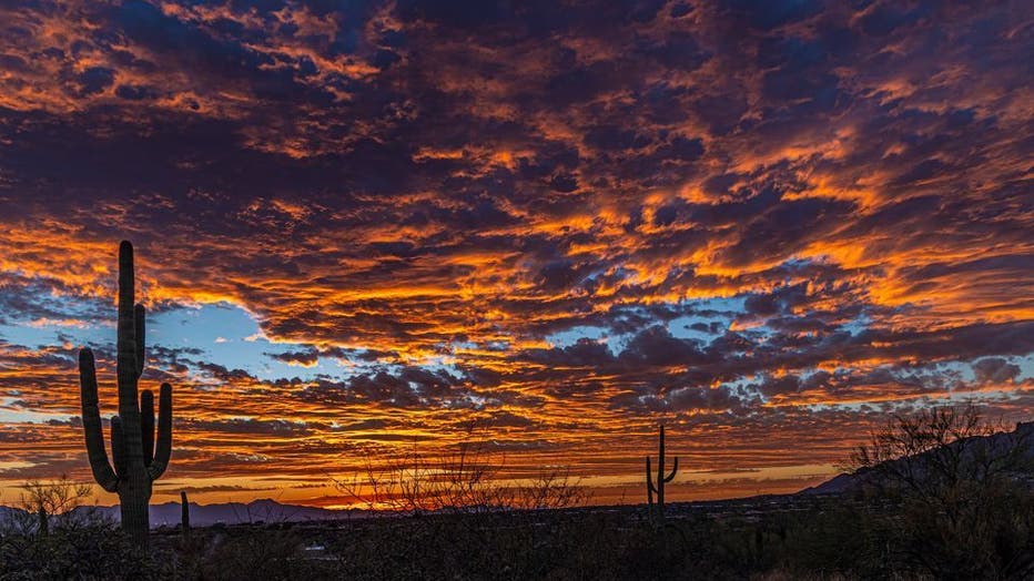 Tucson sunset Credit David Grinney