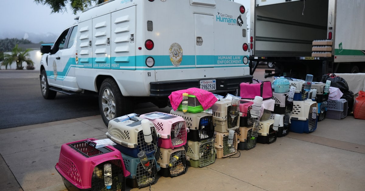 California humane society wants answers after animals sent to Arizona ...