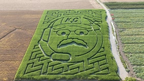 Watch: Andy Reid corn maze goes viral in Missouri