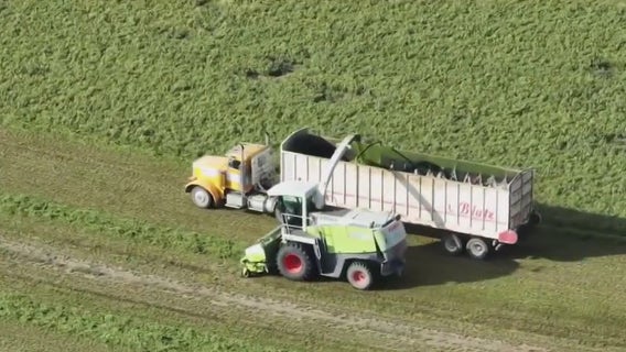 Arizona ends water lease with Saudi Arabia-owned farm, other companies