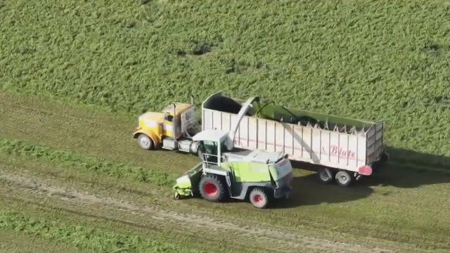 Arizona ends water lease with Saudi Arabia-owned farm, other companies