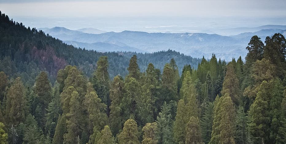 Air France pilot falls 1,000 feet to death in California's Sequoia National Park