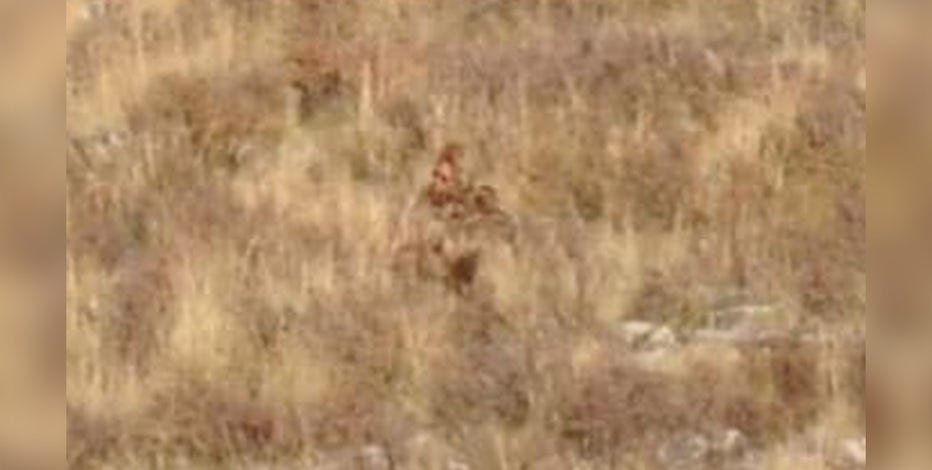 Bigfoot' caught on camera in Colorado mountains, couple claims