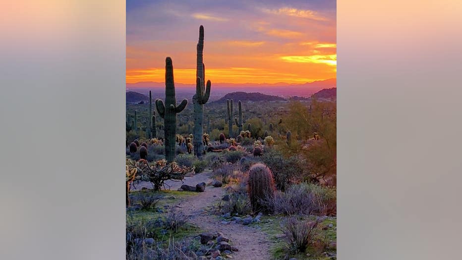 We will never get tired of this amazing look for Arizona! Thanks Instagram user gl1ttrer_n_d1rt for sharing!
