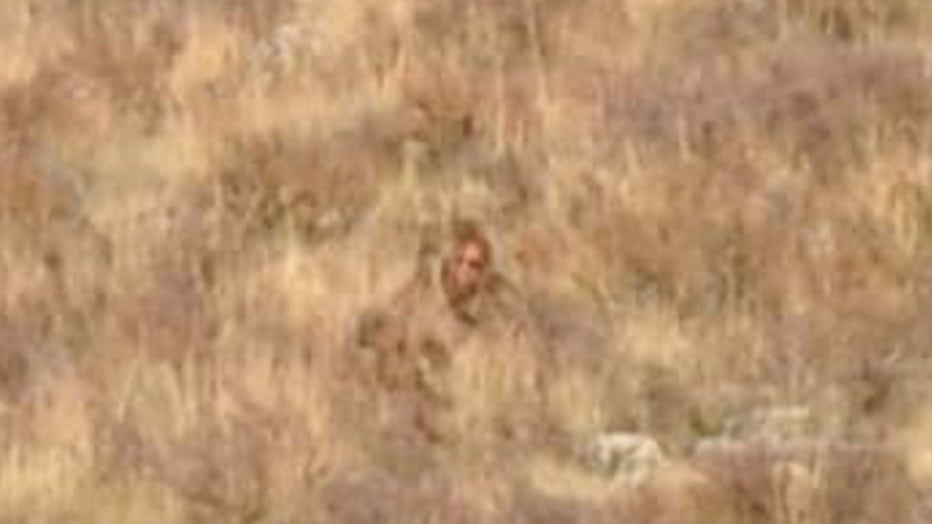 10 Bigfoot Sightings That Made The News