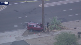 Driver hospitalized after crashing into tree in Goodyear