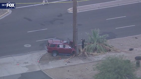 Driver hospitalized after crashing into tree in Goodyear