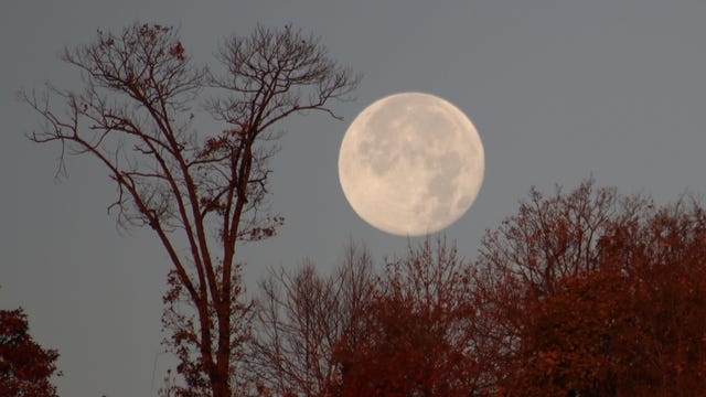 Beaver Moon: How and when to see November's full Moon