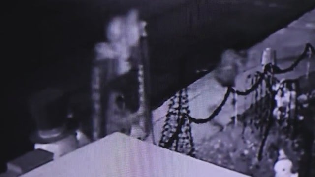 Mesa family has a message for those who destroyed their Christmas decorations