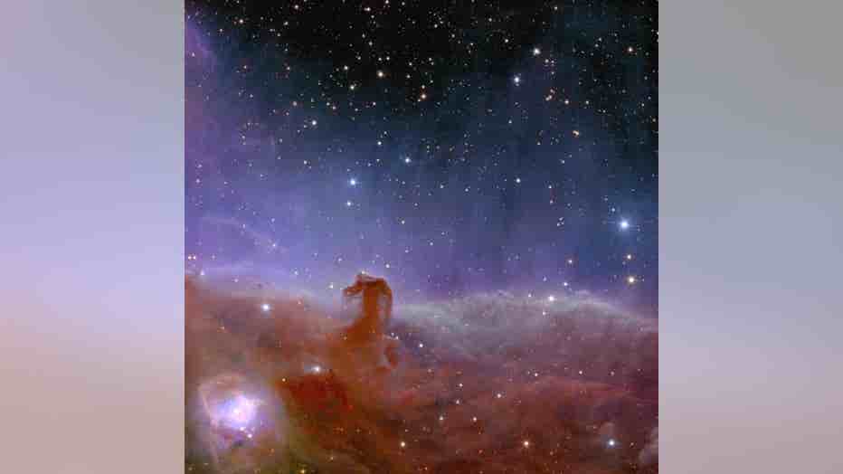 Euclid_s_view_of_the_Horsehead_Nebula.jpg