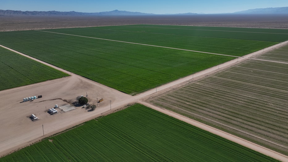 Butler Valley, AZ - June 27: Alfalfa fields at the Fondomonte f