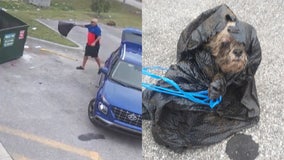 'Bone-chilling': Florida man stuffs dog into trash bag, flings it in dumpster after owners die, sheriff says