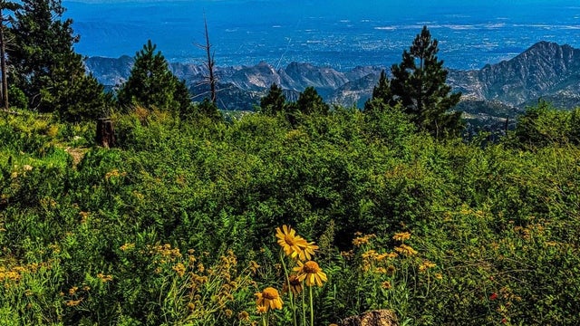 Arizona Photo of the Day - December 2023