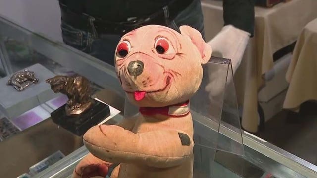 Rare stuffed animal going up for auction in Glendale