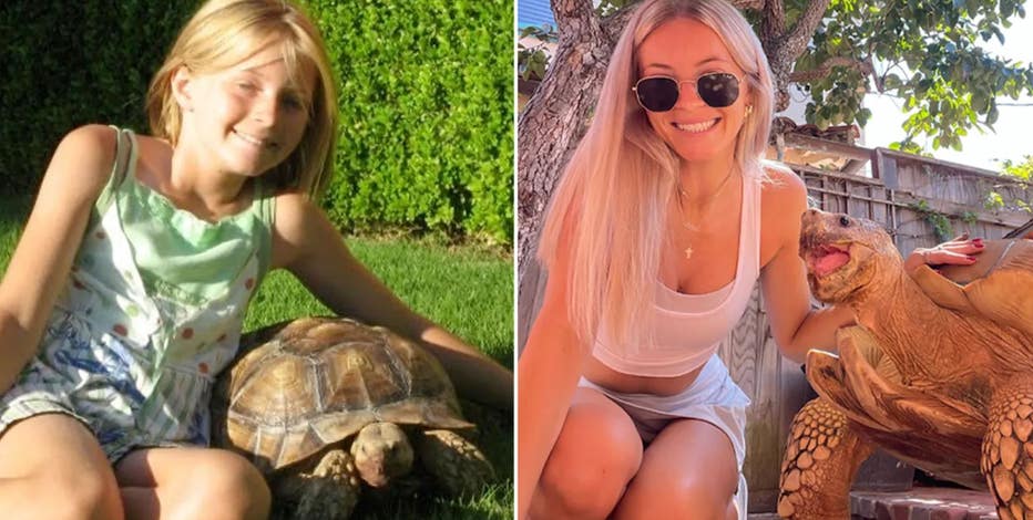 California woman goes viral for 22-year friendship with tortoise she received for Christmas as a child
