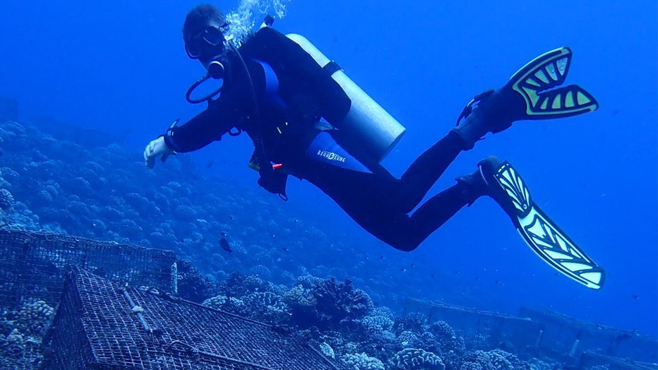 Coral2.jpg
