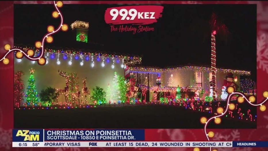 christmas on poinsettia