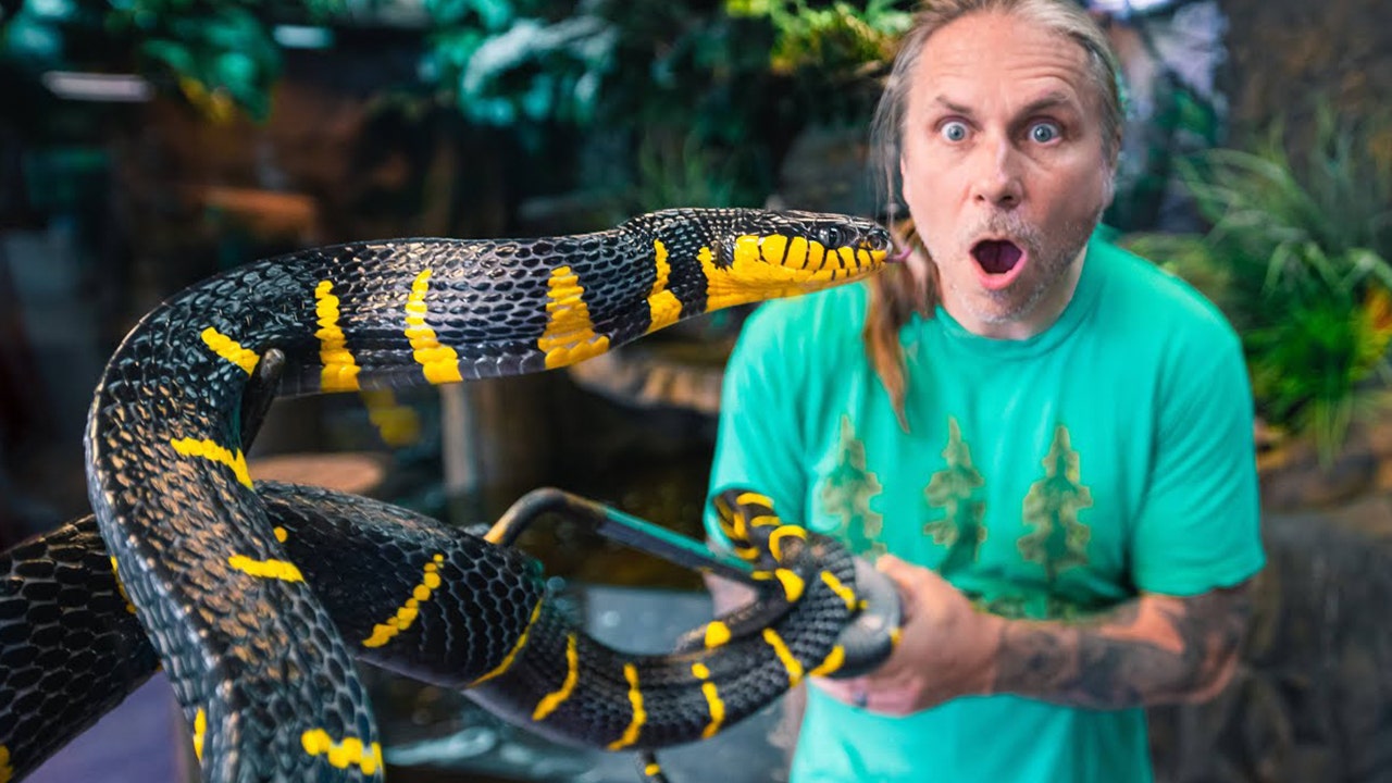 Brian Barczyk, reptile expert and YouTuber, dies of pancreatic cancer ...