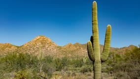 Feds look to reduce recreational target shooting within Arizona’s Sonoran Desert monument