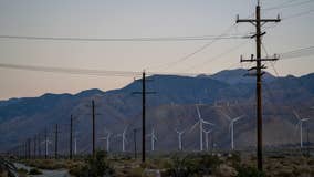 Tribes, environmental groups ask U.S. court to block $10B Arizona energy transmission project