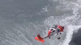 VIDEO: Coast Guard rescues dog that fell off cliff on Oregon coast