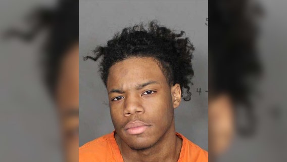 Christopher Fantastic, teen violence suspect, sentenced to probation