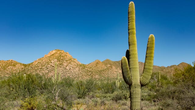 Feds look to reduce recreational target shooting within Arizona’s Sonoran Desert monument