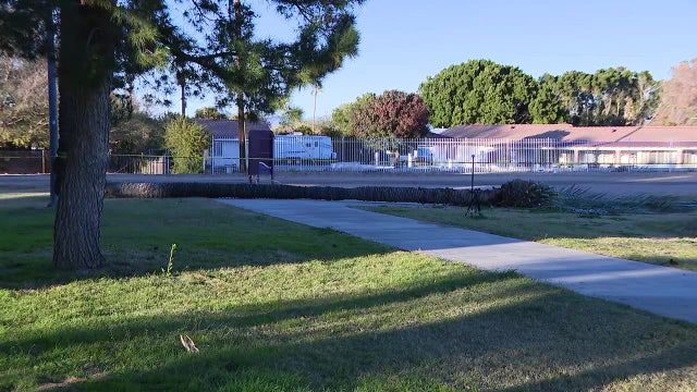 Fallen palm tree kills man in Phoenix: PD