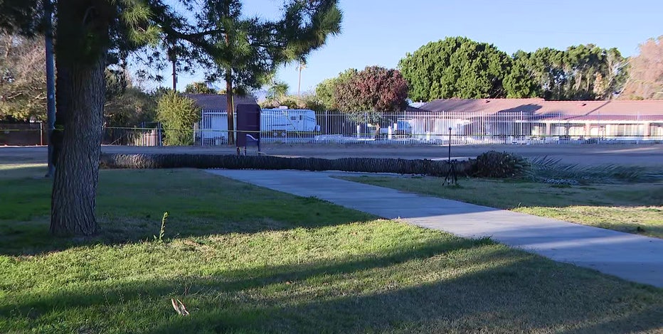 Fallen palm tree kills man in Phoenix: PD