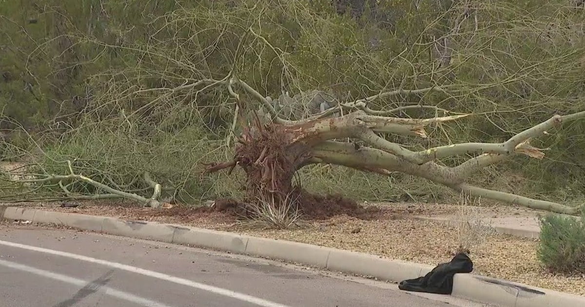 Teen killed, another in critical condition after crashing into tree in ...