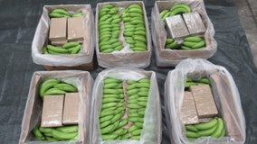 6 tons of cocaine hidden in banana shipment seized, UK officials say