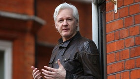 Who is Julian Assange and what did he publish?