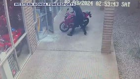 Suspect arrested after Scottsdale smash-and-grab motorcycle theft